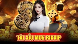 Tài xỉu MD5 Rikvip: Siêu phẩm giải trí trực tuyến "cực đã"